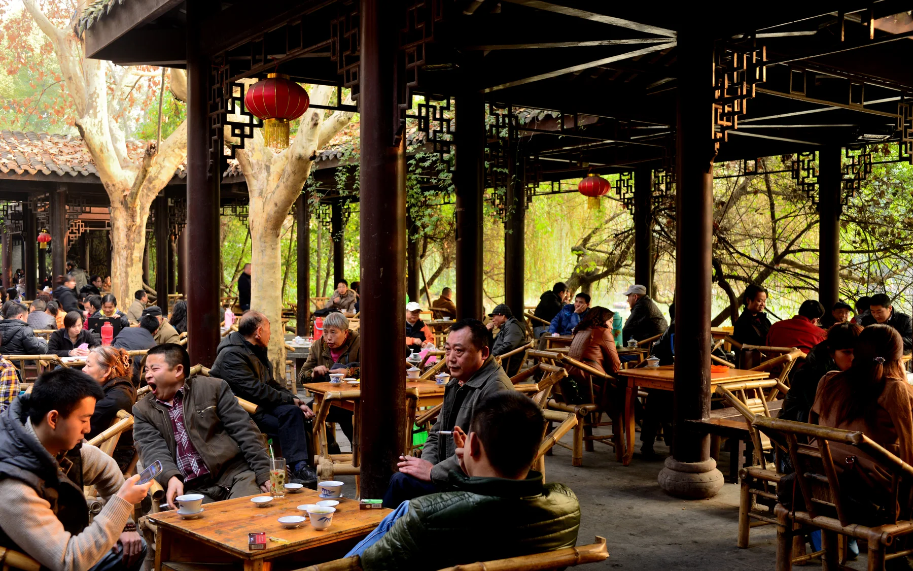 Tea tables under trees showing Chengdu's culture of public time rather than a landmark checklist