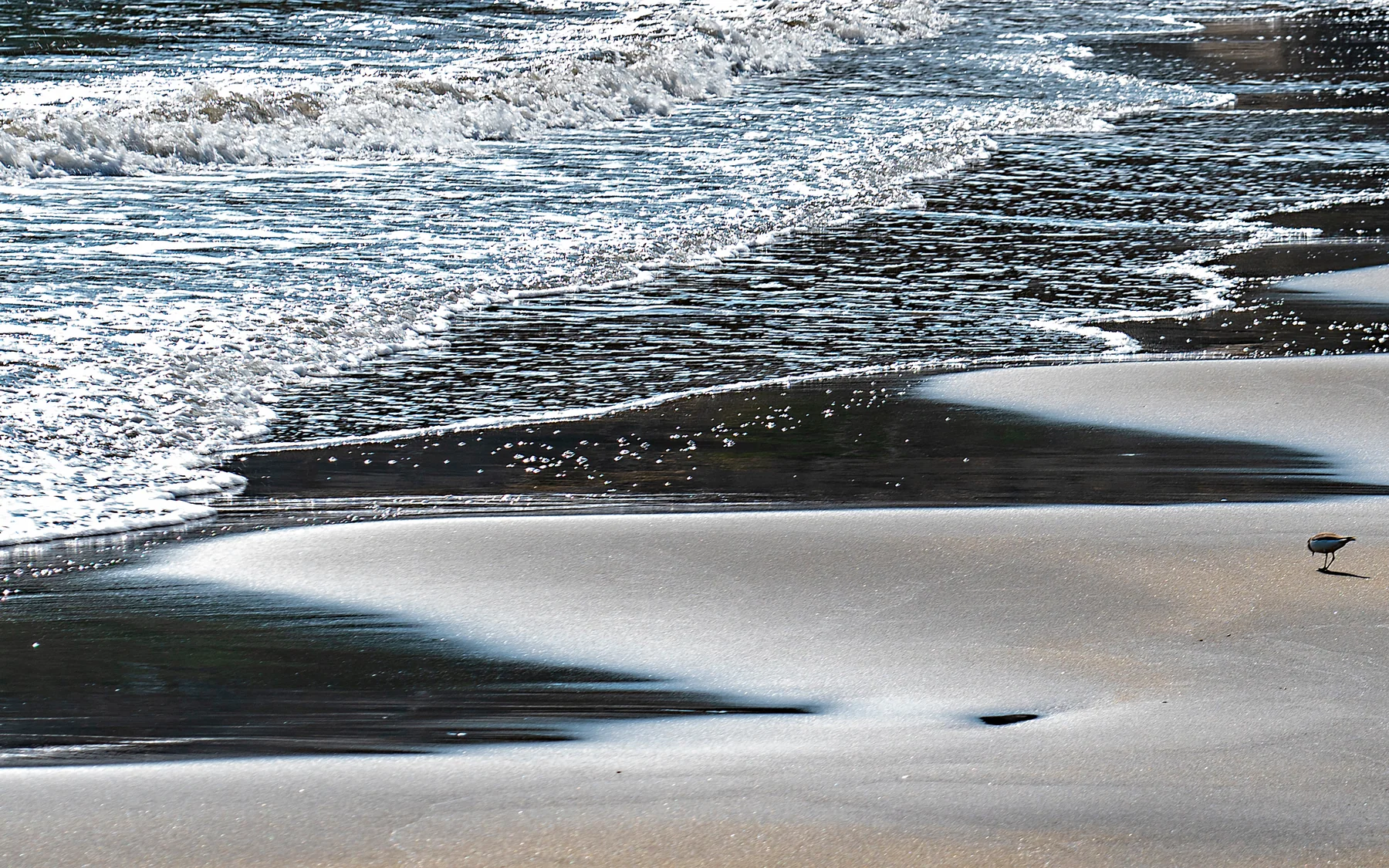 Black sand, surf and a solitary shorebird at Hac Sa Beach, showing the landscape contrast available in southern Macau