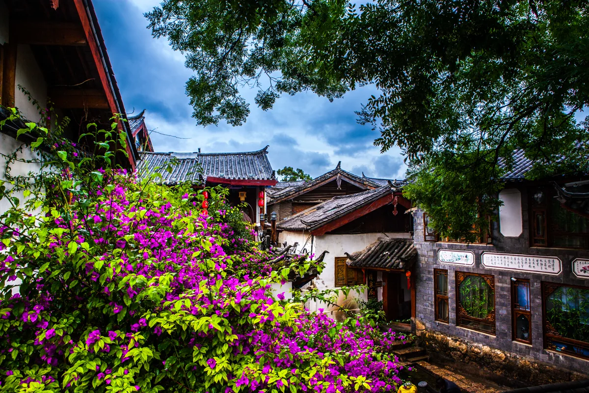 Water lanes and timber streets in Lijiang Old Town during travel to Lijiang