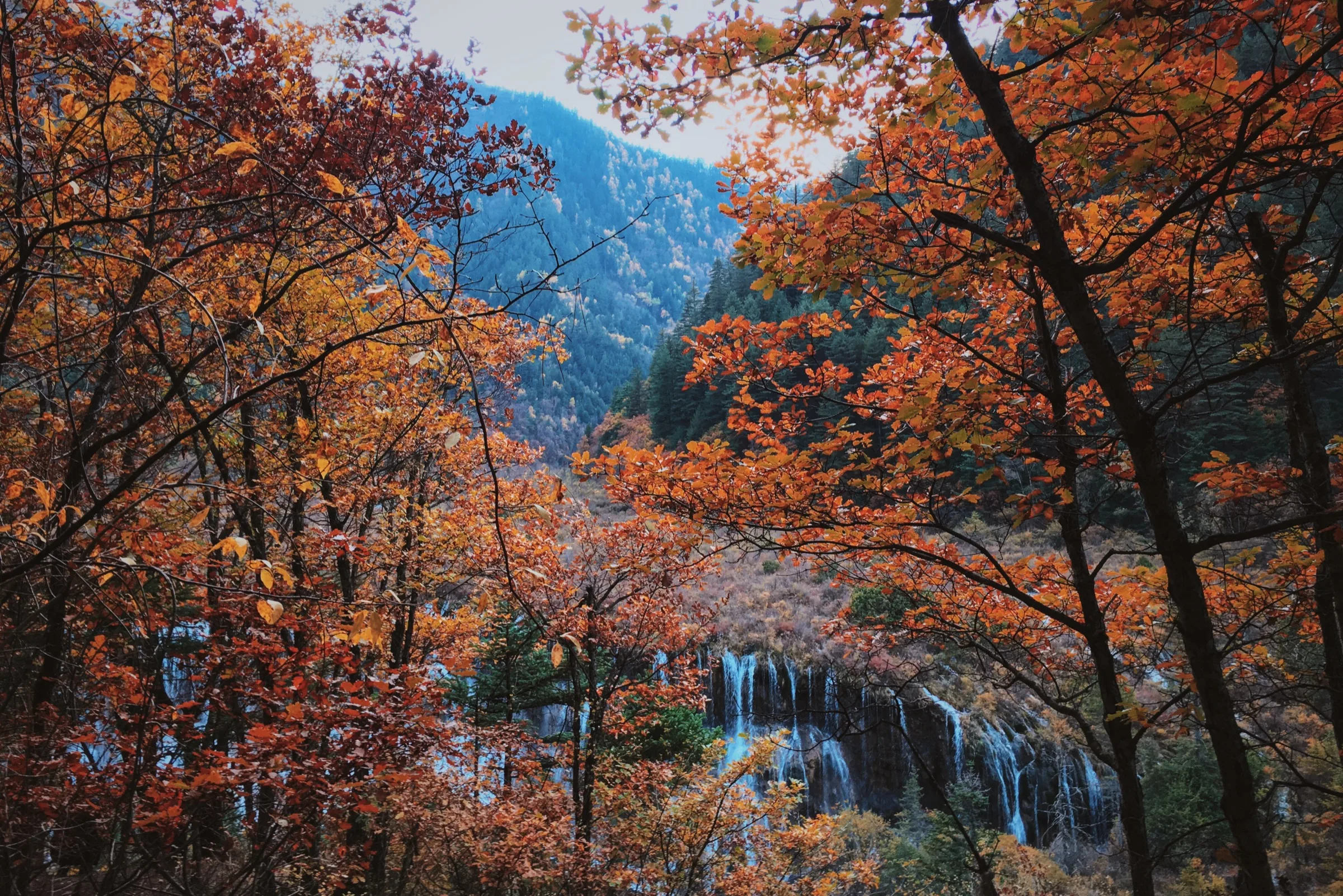 Autumn leaves and a small waterfall in Jiuzhaigou forest