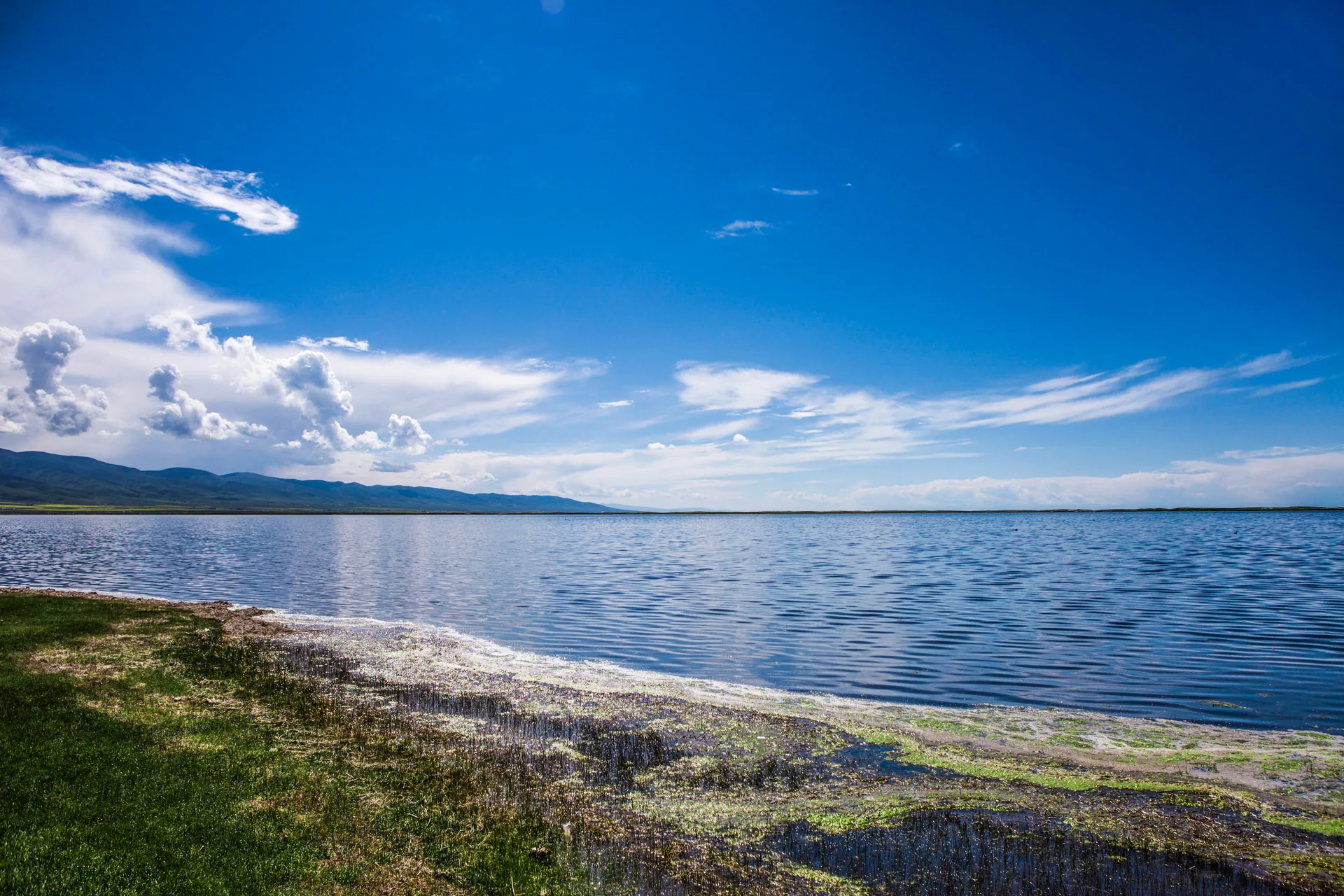 Travel to Qinghai begins beside the wide shore and mountain horizon of Qinghai Lake