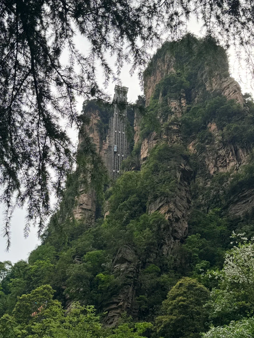 The Bailong Elevator structure embedded in a forested sandstone cliff