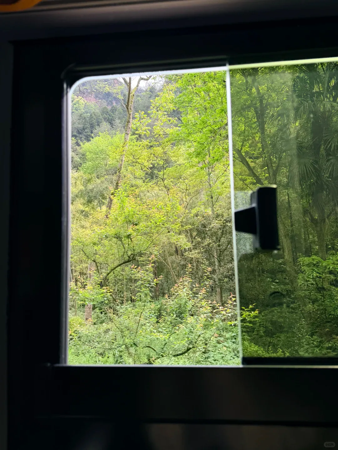 Sandstone cliffs framed through the window of a scenic shuttle inside Wulingyuan