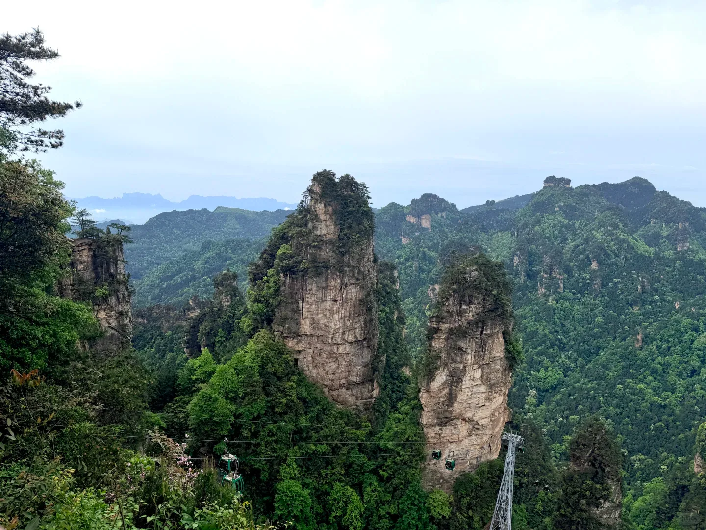 Layered quartz sandstone pillars across Zhangjiajie National Forest Park