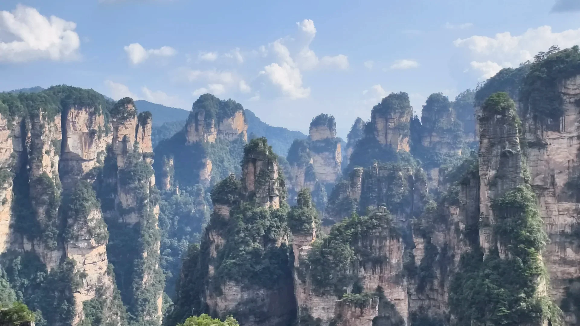 Clear summer view across Zhangjiajie's quartz sandstone pillars