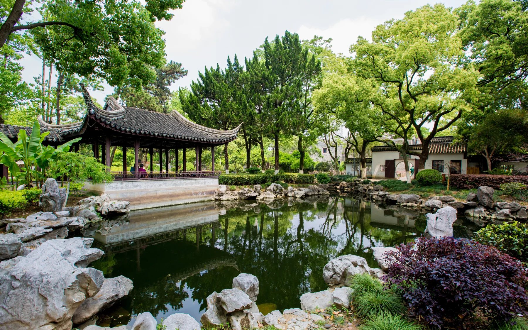 A compact Jiangnan garden showing how designed nature compresses landscape into a walkable sequence
